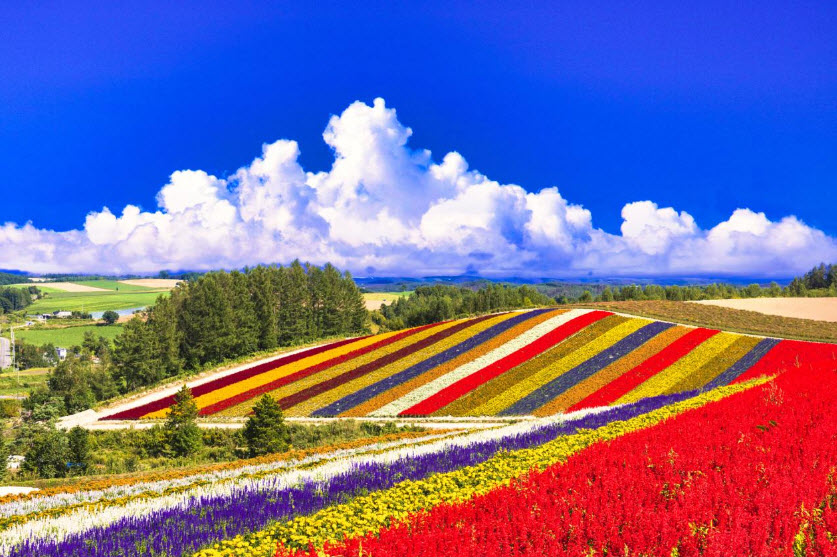 Biei, Hokkaido